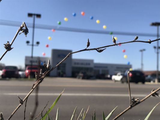 Zeigler Plainwell Ford