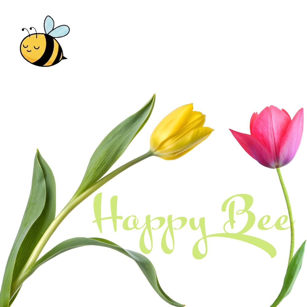 Happy Bee Therapy - grief counselor in Houston, TX