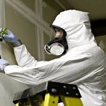 DryAgain Water, Mold and Fire Restoration Services - Mold Remediation - Damage Restoration Near Me - Big Bear, California DryAgain Water, Mold and Fire Restoration Services - Mold Remediation - Damage Restoration Near Me - Big Bear, California