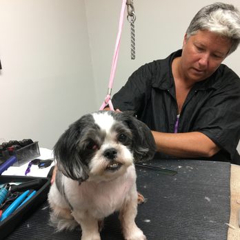 Doggie Paws Salon - Pet Groomers Near Me - Lake Worth, Florida Doggie Paws Salon - Pet Groomers Near Me - Lake Worth, Florida