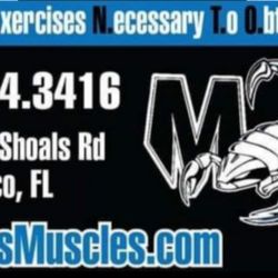 Mentors Muscles