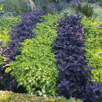 Sunken Gardens - The things they are growing are wonderful - Botanical Gardens Near Me - Lincoln, Nebraska