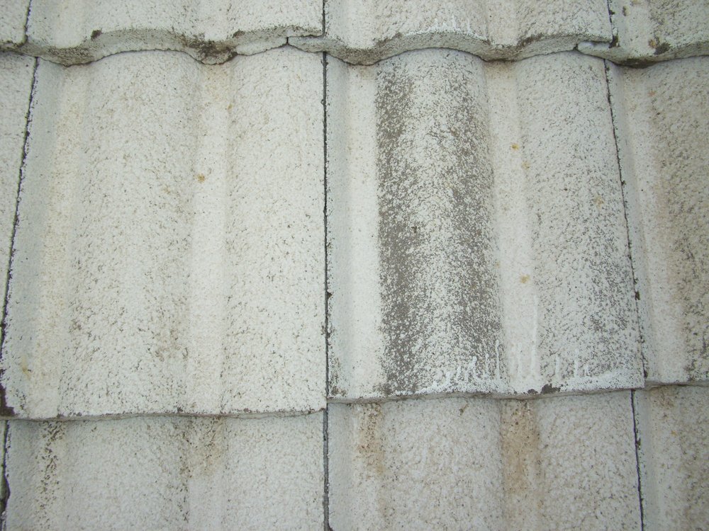 Slide of Apple Roof Cleaning