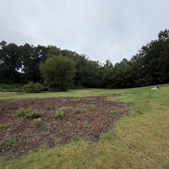 Brookhaven Park - Open field - Parks Near Me Brookhaven Park - Open field - Parks Near Me