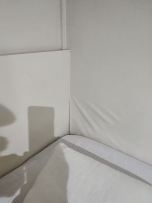 Shangri-la Boat Tour by null