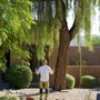 The Neighborhood Arborist