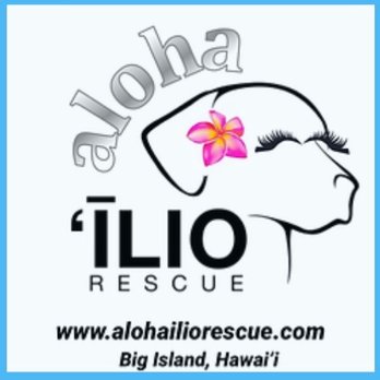 Aloha Ilio Rescue - Aloha Ilio Rescue Logo - Pet Adoption Near Me - Keaau, Hawaii Aloha Ilio Rescue - Aloha Ilio Rescue Logo - Pet Adoption Near Me - Keaau, Hawaii