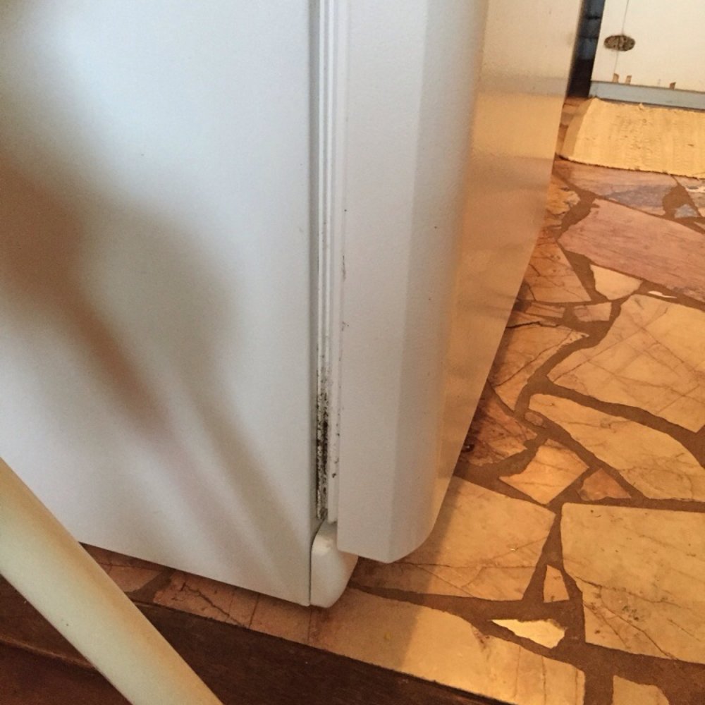 Hanalei Inn - Mold all over the fridge. - Hotels Near Me - Hanalei, Hawaii Hanalei Inn - Mold all over the fridge. - Hotels Near Me - Hanalei, Hawaii