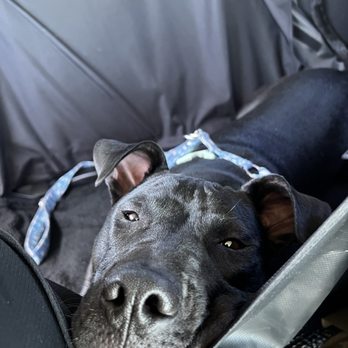 Petco - Pet Stores Near Me - Turlock, California