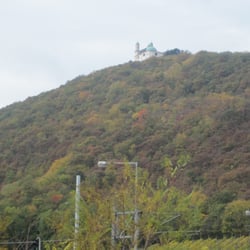 Gruber Adolf u Anni - The gorgeous Austrian countryside on the bike ride up the Rhein from Vienna to Klosterneuburg