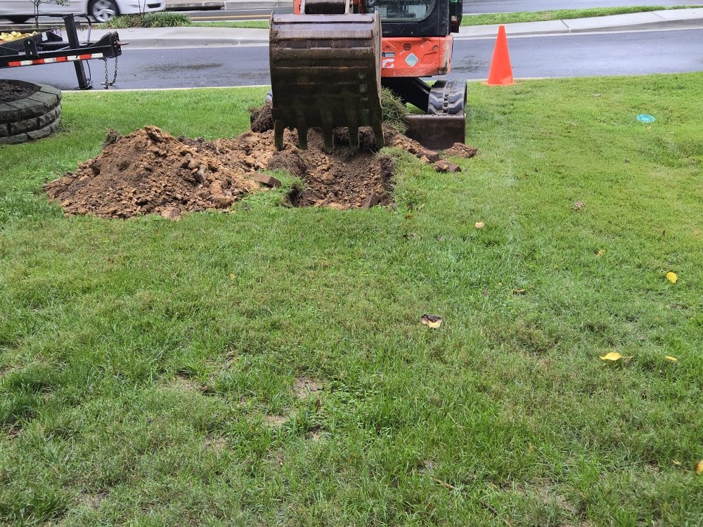 Slide of Another Plumber