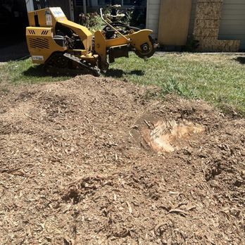 Robert Tompkins Tree Service - Tree Services Near Me - Chico, California