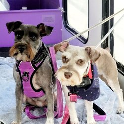 Huntington Pet Wellness Center