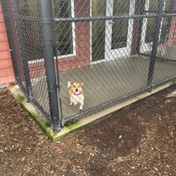 Everett Animal Shelter - The dude is awesome! I'm sure he does that for everyone.