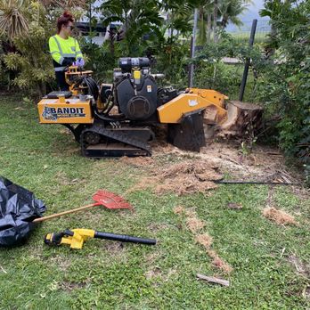 Kanaka Yard Maintenance - My wife stump grinding 3 decent size palm tree stumps - Tree Services Near Me Kanaka Yard Maintenance - My wife stump grinding 3 decent size palm tree stumps - Tree Services Near Me