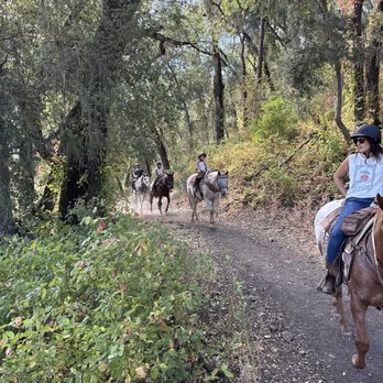 Central Coast Trailrides - Horseback Riding Near Me Central Coast Trailrides - Horseback Riding Near Me