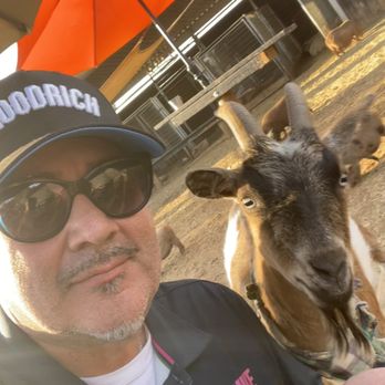 SoCalMiniPigs - Pet Breeders Near Me - Valley Center, California