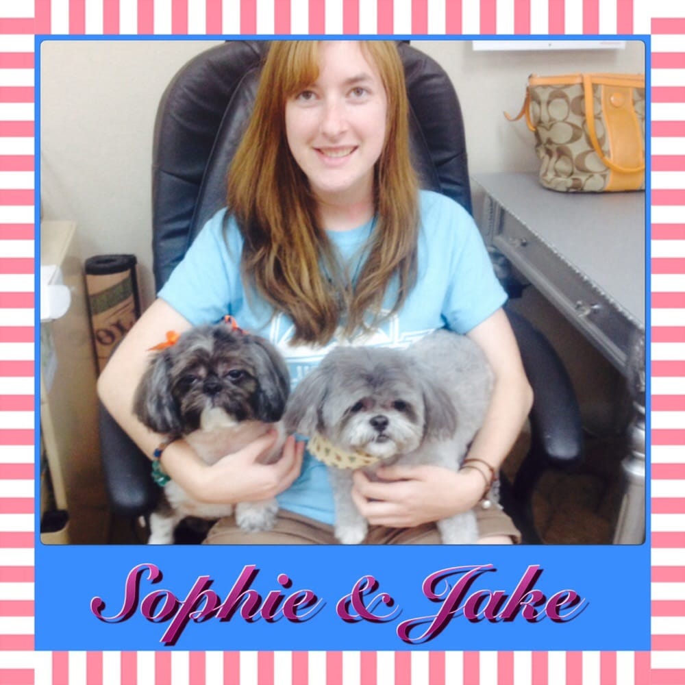 Shaggy To Chic Dog Grooming & Boutique Image