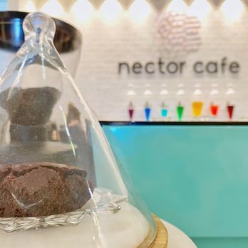 Nector Cafe - I'm not vegan, my first vegan brownie - good - Cafes Near Me - Hilo, Hawaii Nector Cafe - I'm not vegan, my first vegan brownie - good - Cafes Near Me - Hilo, Hawaii