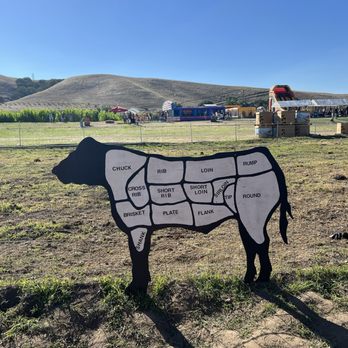 Joan's Farm & Pumpkin Patch - Pumpkin Patches Near Me - Livermore, California Joan's Farm & Pumpkin Patch - Pumpkin Patches Near Me - Livermore, California