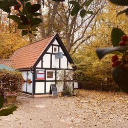 FOCKES Café