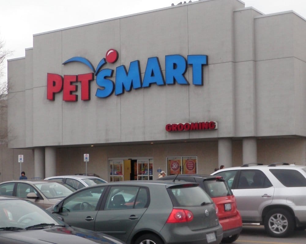 puppies to a good home near me