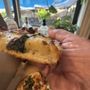 Photo of Ben & Jay's Pizzeria