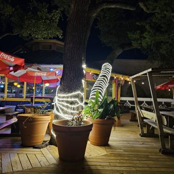 Baby Acapulco - a plant in a pot on a deck - Mexican Near Me - Austin, Texas Baby Acapulco - a plant in a pot on a deck - Mexican Near Me - Austin, Texas