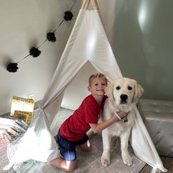 Family Chiropractic Center - Therapy dogs make everyone's day better!