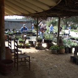 Tree of Life Nursery