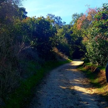 Powder Canyon - are we there yet???? - Hiking Near Me - La Habra Heights, California Powder Canyon - are we there yet???? - Hiking Near Me - La Habra Heights, California