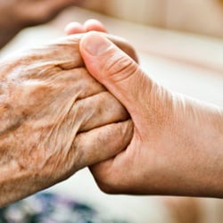 TrueVine Healthcare Services