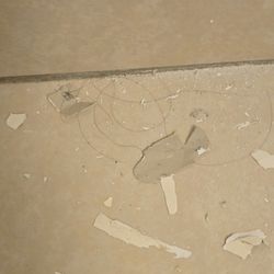 Super 8 by Wyndham Bridgeview/Chicago Area - Bathroom floor after toilet holder repair.