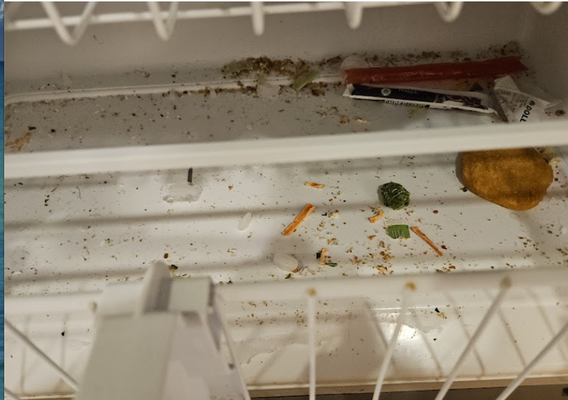 Next-Level Fridge Cleaning for Immaculate Move-Ins & Move-Outs! - Looking for a cleaning company that goes above and beyond—even inside your refrigerator? At Finally Clean, our team doesn’t stop at sparkling counters and spotless floors. We’re famous for our extreme attention to detail, tackling those spots others overlook—like the inside of your fridge!
Whether you're scheduling a deep cleaning, preparing for a move-in or move-out, or want the place showing-ready for potential buyers or tenants, our trusted pros will make every inch shine. We carefully remove shelves and drawers, clean every surface by hand, and ensure your fridge looks (and smells!) as good as new.
Why Choose Us?
Move-In/Move-Out Perfection: Realtors and property managers love working with us! We handle last-minute move-outs and pre-move-in deep cleans with professionalism and reliability.
Detailed-Oriented: We get into the nooks and crannies, leaving appliances and spaces pristine.
Powerful First Impressions: New tenants and buyers rave about that “just-moved-in” freshness.
Need a cleaner who treats your home—and your refrigerator—with respect?
Finally Clean is here. Reliable. Meticulous. Ready to impress. Next-Level Fridge Cleaning for Immaculate Move-Ins & Move-Outs! - Looking for a cleaning company that goes above and beyond—even inside your refrigerator? At Finally Clean, our team doesn’t stop at sparkling counters and spotless floors. We’re famous for our extreme attention to detail, tackling those spots others overlook—like the inside of your fridge!
Whether you're scheduling a deep cleaning, preparing for a move-in or move-out, or want the place showing-ready for potential buyers or tenants, our trusted pros will make every inch shine. We carefully remove shelves and drawers, clean every surface by hand, and ensure your fridge looks (and smells!) as good as new.
Why Choose Us?
Move-In/Move-Out Perfection: Realtors and property managers love working with us! We handle last-minute move-outs and pre-move-in deep cleans with professionalism and reliability.
Detailed-Oriented: We get into the nooks and crannies, leaving appliances and spaces pristine.
Powerful First Impressions: New tenants and buyers rave about that “just-moved-in” freshness.
Need a cleaner who treats your home—and your refrigerator—with respect?
Finally Clean is here. Reliable. Meticulous. Ready to impress.