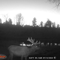 Jackson Outfitters