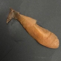 Dried up old carrot skin Dried up old carrot skin