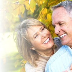 Anne Chee, DDS - Westchase Dentists