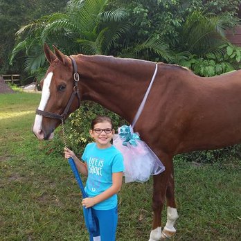 Suncoast Stables and Riding Academy - Horseback Riding Near Me - Odessa, Florida Suncoast Stables and Riding Academy - Horseback Riding Near Me - Odessa, Florida