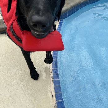 Pet Paradise Murfreesboro - Pet Boarding Near Me - Murfreesboro, Tennessee