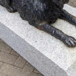 Statue of Rover