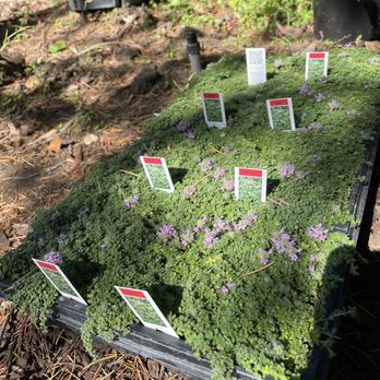 Your Green Gardeners - Gardeners Near Me Your Green Gardeners - Gardeners Near Me