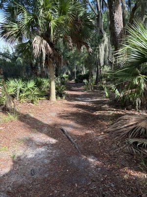 Skidaway Island State Park by null