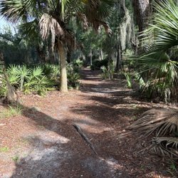 Skidaway Island State Park - Trail