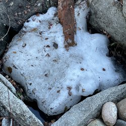 Under the snow here is where the water feature pump is located. During winter, Sunbasin removes the pump to avoid freezing.