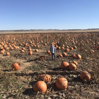 Rock Creek Farm - Pumpkin Patches Near Me - Broomfield, Colorado Rock Creek Farm - Pumpkin Patches Near Me - Broomfield, Colorado