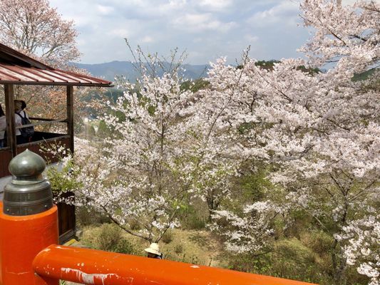 Yoshinoyama by null