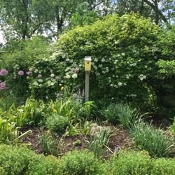 Kate's Garden