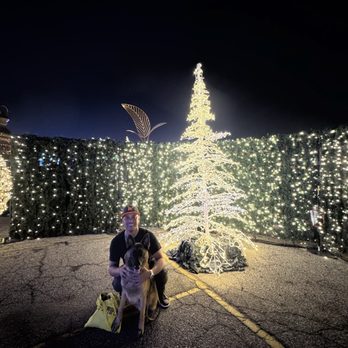 Enchant - Festivals Near Me - Arcadia, California