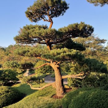 Chicago Botanic Garden - Botanical Gardens Near Me - Glencoe, Illinois