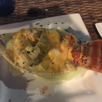 Hobo's Cafe - Lobster Au Gratin - New American Near Me - Key Largo, Florida